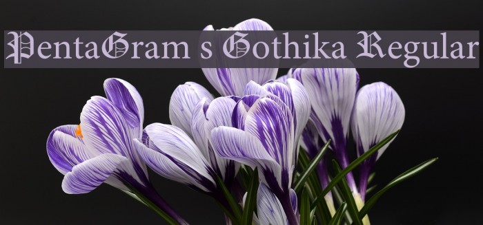 PentaGram s Gothika Regular Font examples