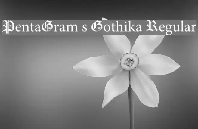 PentaGram s Gothika Regular Font examples