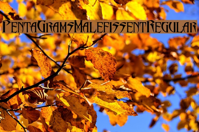 PentaGram s Malefissent Regular Font examples