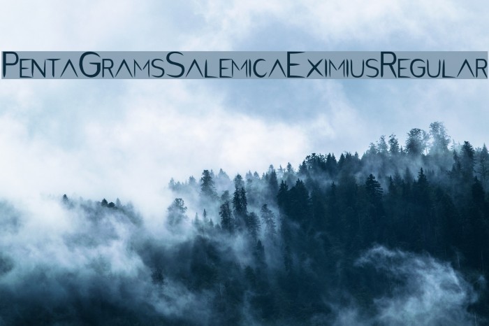 PentaGram s Salemica Eximius Regular Font examples