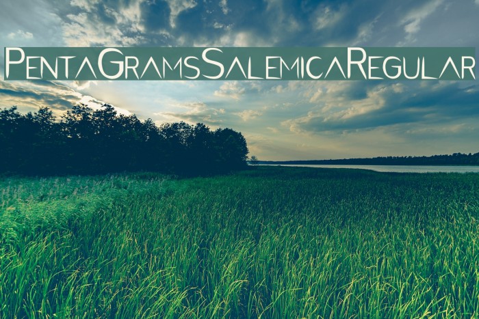 PentaGram s Salemica Regular Font examples