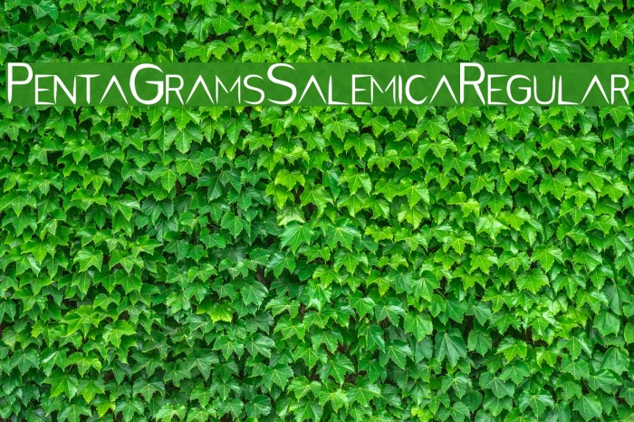 PentaGram s Salemica Regular Font examples
