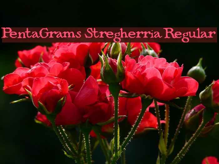 PentaGrams Stregherria Regular Font examples