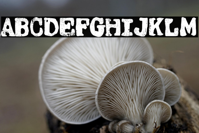 Pentagono Grunge Example 2