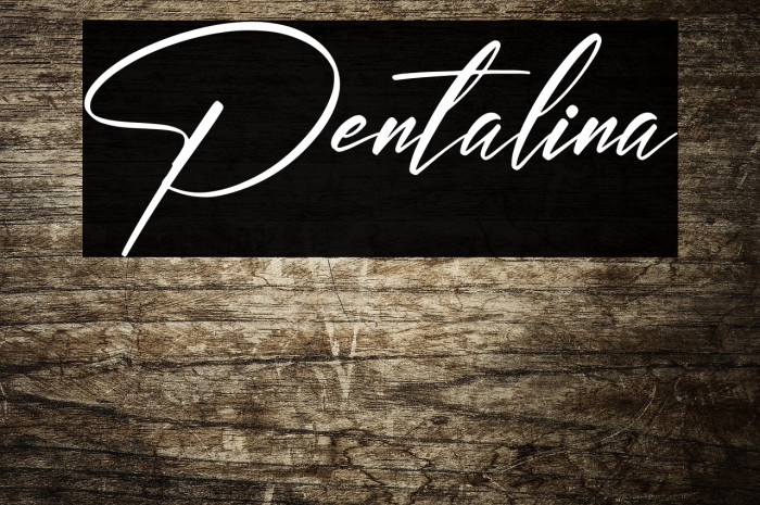 Pentalina Example 2