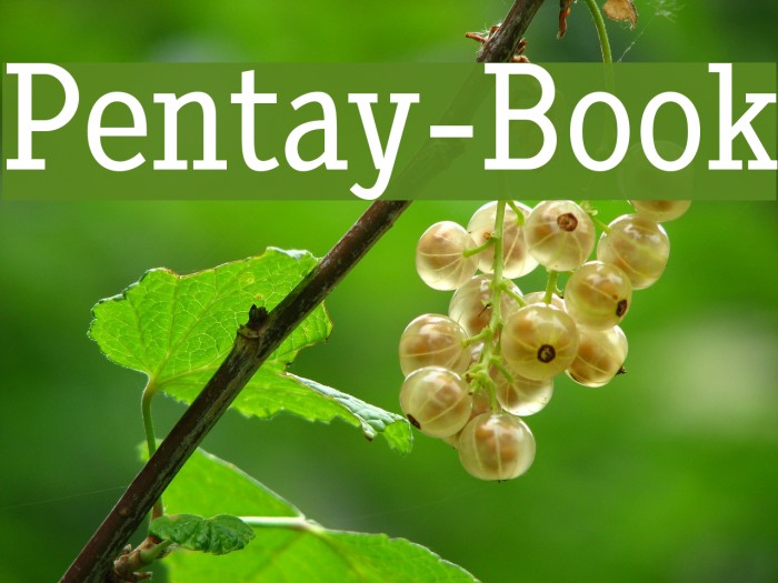 Pentay-Book Font examples