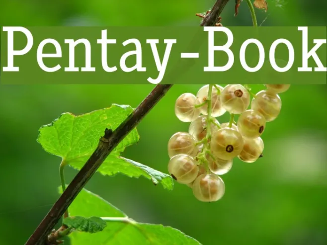 Pentay-Book Example 2