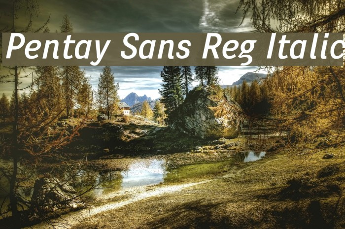 Pentay Sans Reg Italic Font examples