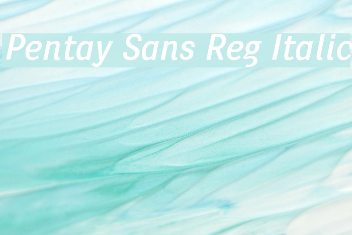Pentay Sans Reg Italic Font examples