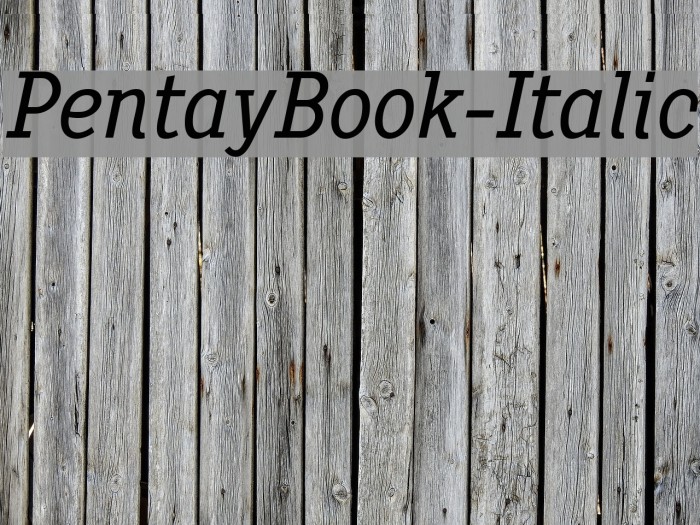 PentayBook-Italic Font examples