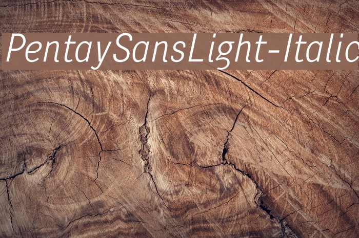 PentaySansLight-Italic Font examples