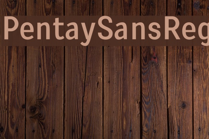 PentaySansReg Font examples