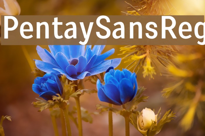 PentaySansReg Font examples