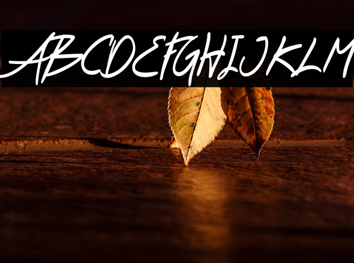 Pentecoste Demo Regular Example 1