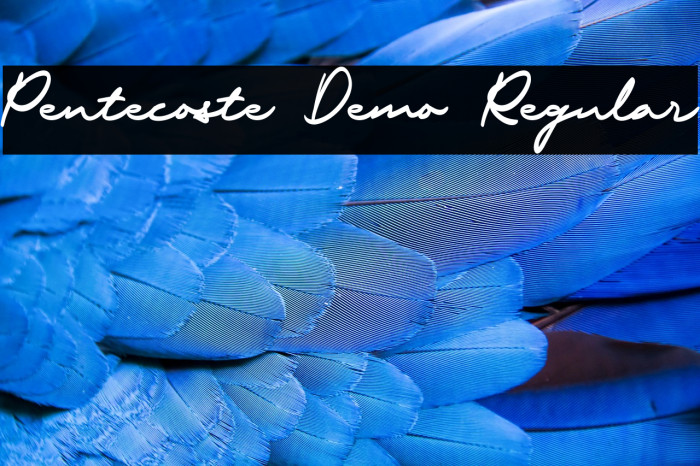 Pentecoste Demo Regular Example 2