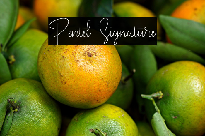 Pentel Signature Example 1