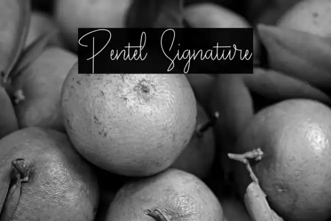 Pentel Signature Font examples