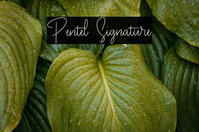Pentel Signature Example 2