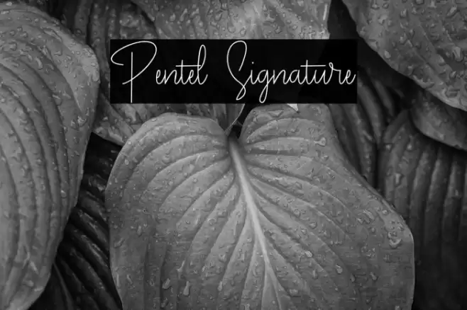 Pentel Signature Font examples