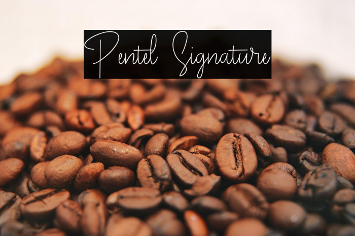 Pentel Signature Example 3
