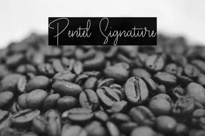 Pentel Signature Font examples