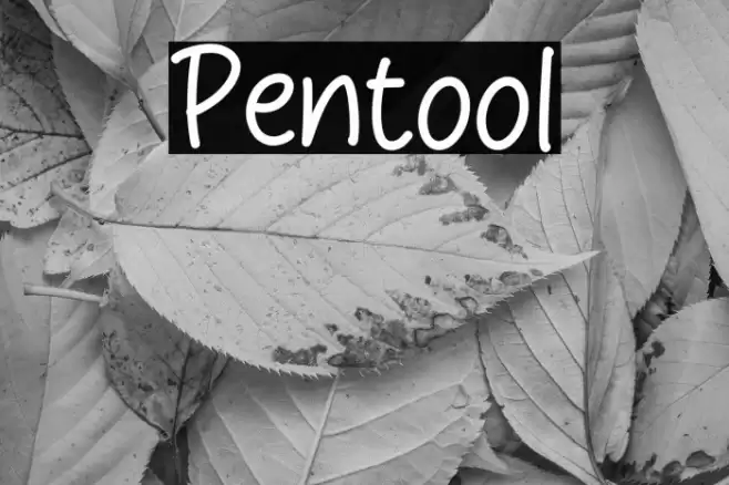 Pentool Font examples