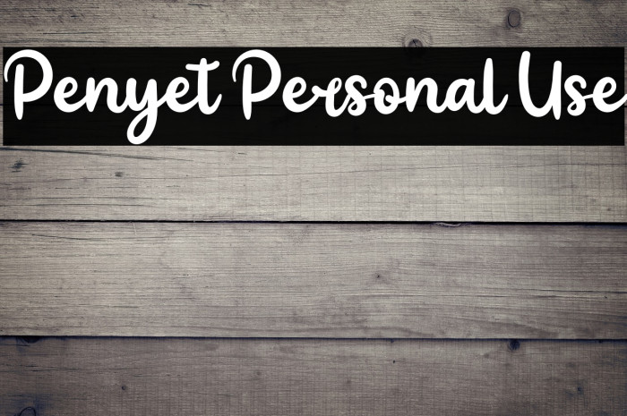 Penyet Personal Use Example 1