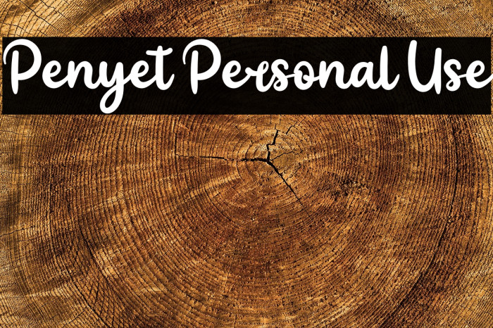 Penyet Personal Use Example 2