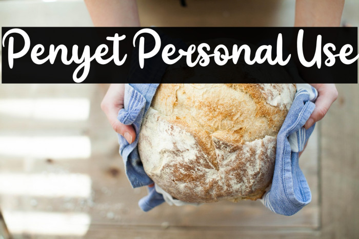 Penyet Personal Use Example 3