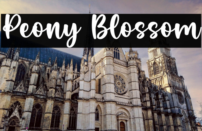 Peony Blossom Example 2