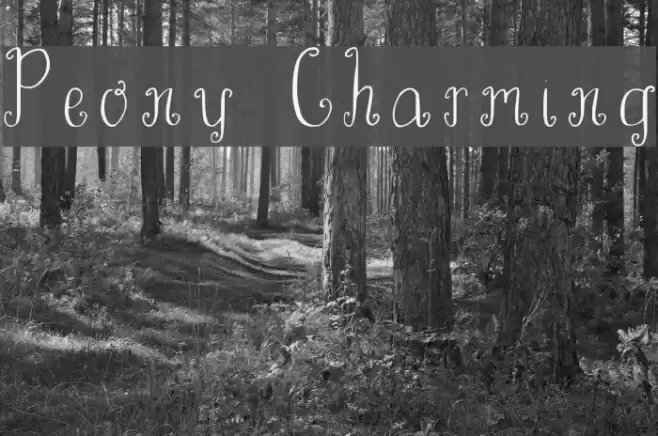 Peony Charming Font examples