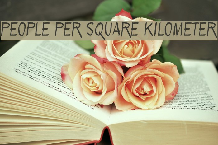 People per square kilometer Font examples
