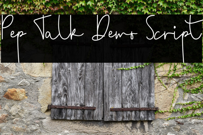 Pep Talk Demo Script Example 3