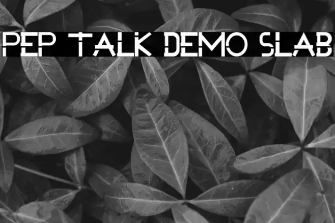 Pep Talk Demo Slab Font examples