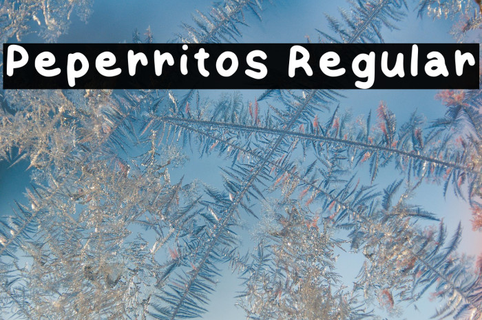 Peperritos Regular Example 1