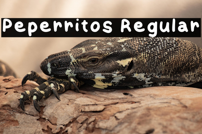 Peperritos Regular Example 2
