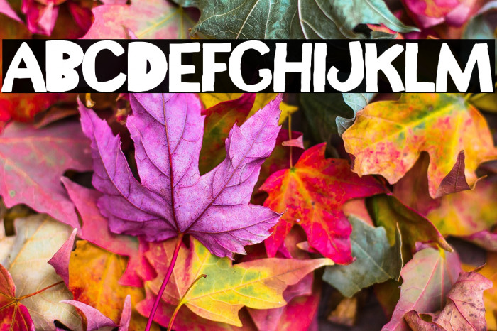 Pepita Pepona Team Example 2