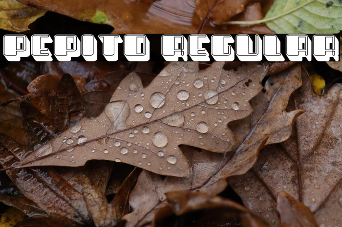 Pepito Regular Example 2