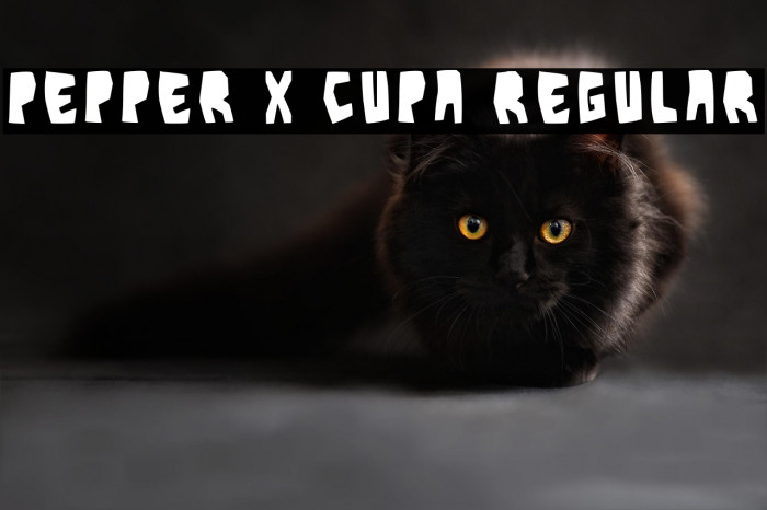 Pepper X Cupa Regular Example 1