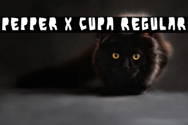 Pepper X Cupa Regular Example 1