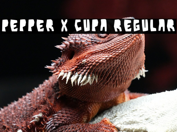 Pepper X Cupa Regular Example 3