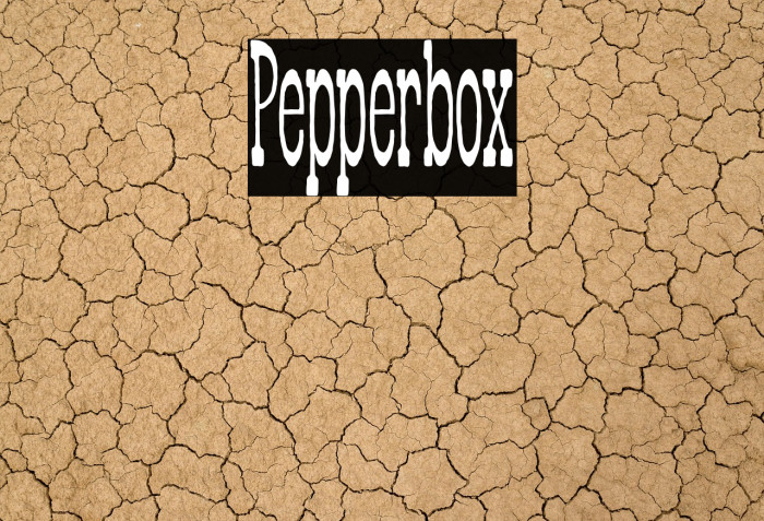 Pepperbox Example 1