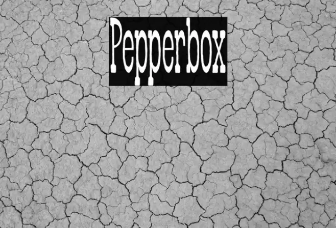 Pepperbox Font examples