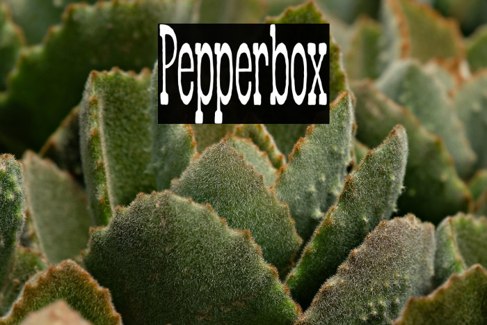 Pepperbox Example 2