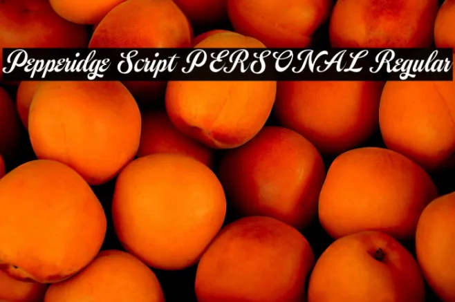 Pepperidge Script PERSONAL Regular Example 2
