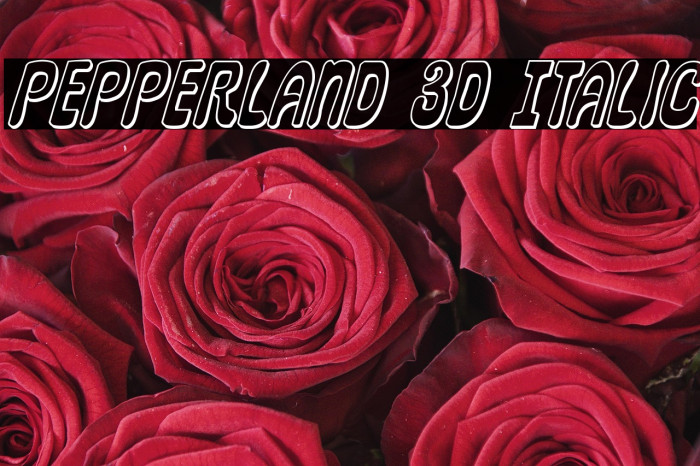 Pepperland 3D Italic Example 2