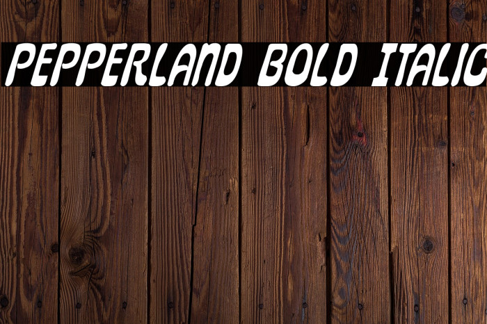 Pepperland Bold Italic Example 2