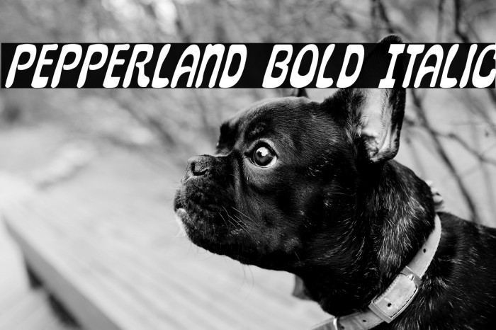 Pepperland Bold Italic Example 3