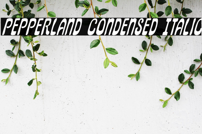 Pepperland Condensed Italic Example 1
