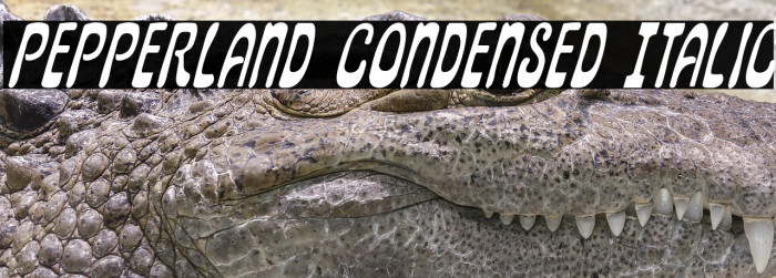 Pepperland Condensed Italic Example 3